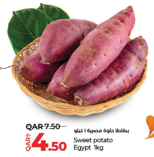  Sweet Potato  in لولو هايبرماركت in قطر - الشمال