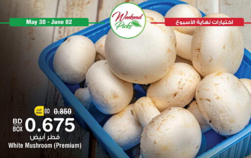  Mushroom  in أسواق الحلي in البحرين