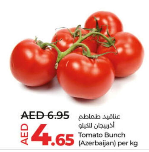  Tomato  in Lulu Hypermarket in UAE - Sharjah / Ajman