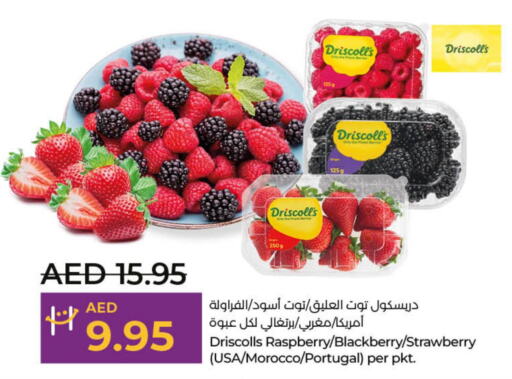  Berries  in Lulu Hypermarket in UAE - Dubai
