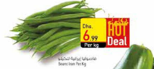  Beans  in السفير هايبر ماركت in الإمارات العربية المتحدة , الامارات - أم القيوين‎