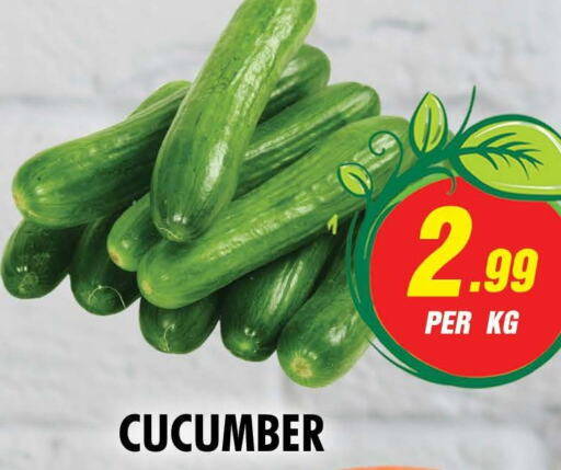  Cucumber  in نايت تو نايت in الإمارات العربية المتحدة , الامارات - الشارقة / عجمان