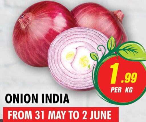  Onion  in نايت تو نايت in الإمارات العربية المتحدة , الامارات - الشارقة / عجمان