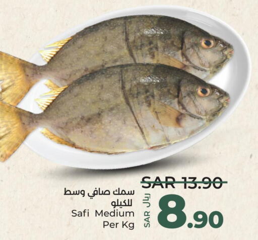  King Fish  in لولو هايبرماركت in مملكة العربية السعودية, السعودية, سعودية - الخرج