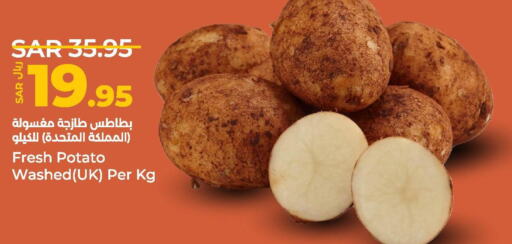 Potato  in لولو هايبرماركت in مملكة العربية السعودية, السعودية, سعودية - الخبر‎