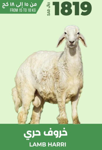  Mutton / Lamb  in LULU Hypermarket in KSA, Saudi Arabia, Saudi - Khamis Mushait