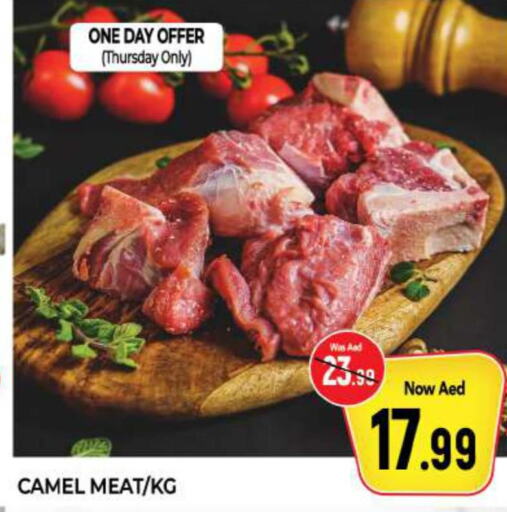  Camel meat  in المدينة in الإمارات العربية المتحدة , الامارات - الشارقة / عجمان