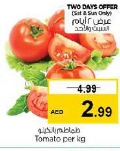  Tomato  in لاست تشانس in الإمارات العربية المتحدة , الامارات - الشارقة / عجمان