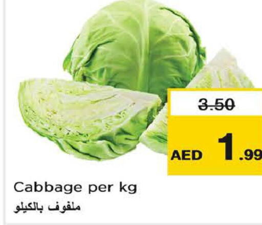  Cabbage  in Last Chance  in UAE - Fujairah