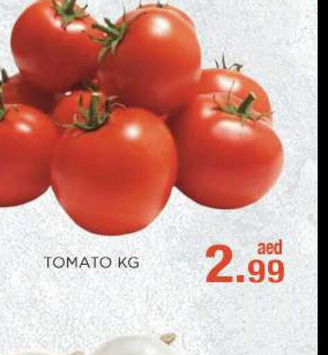  Tomato  in سي.ام. سوبرماركت in الإمارات العربية المتحدة , الامارات - أبو ظبي