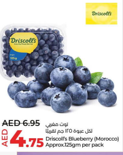  Berries  in لولو هايبرماركت in الإمارات العربية المتحدة , الامارات - رَأْس ٱلْخَيْمَة