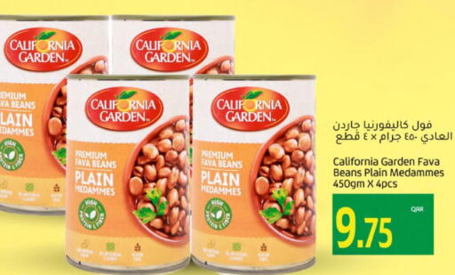 CALIFORNIA GARDEN Fava Beans  in جلف فود سنتر in قطر - الضعاين