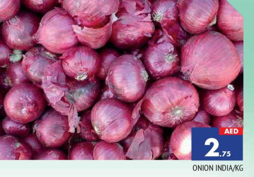  Onion  in المدينة in الإمارات العربية المتحدة , الامارات - الشارقة / عجمان