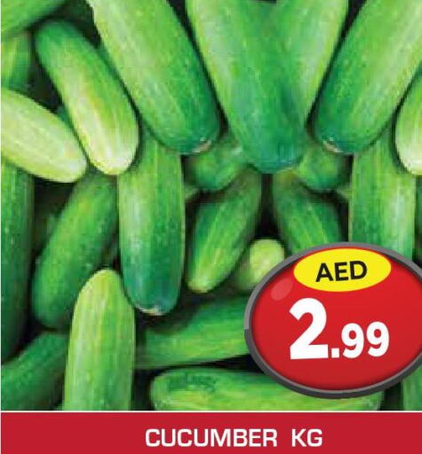  Cucumber  in سنابل بني ياس in الإمارات العربية المتحدة , الامارات - الشارقة / عجمان