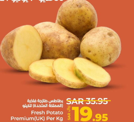  Potato  in لولو هايبرماركت in مملكة العربية السعودية, السعودية, سعودية - المنطقة الشرقية