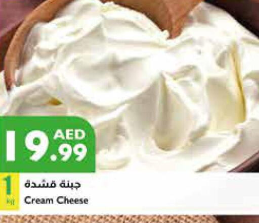  Cream Cheese  in إسطنبول سوبرماركت in الإمارات العربية المتحدة , الامارات - الشارقة / عجمان