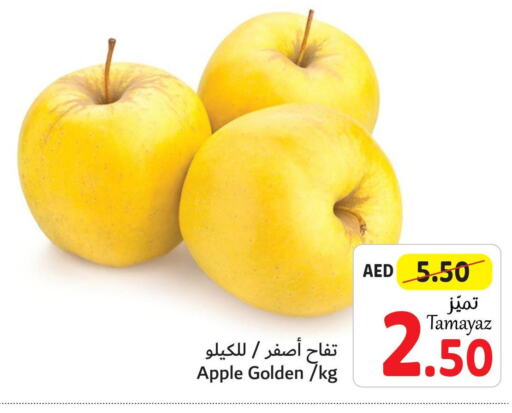  Apples  in تعاونية الاتحاد in الإمارات العربية المتحدة , الامارات - دبي