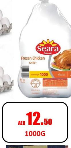 SEARA Frozen Whole Chicken  in جفت داي هايبرماركت in الإمارات العربية المتحدة , الامارات - الشارقة / عجمان