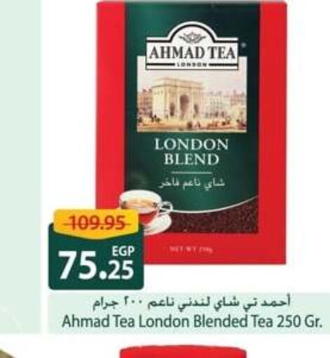 AHMAD TEA Tea Powder  in سبينس in Egypt - القاهرة