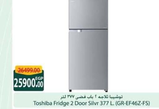 TOSHIBA Refrigerator  in Spinneys  in Egypt - Cairo