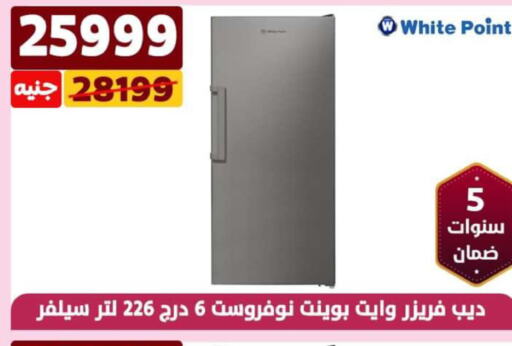 WHITE POINT Freezer  in Shaheen Center in Egypt - Cairo
