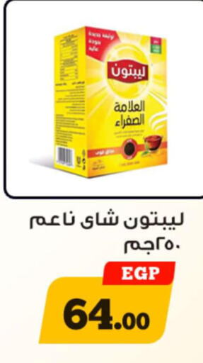 Lipton Tea Powder  in أولاد رجب in Egypt - القاهرة