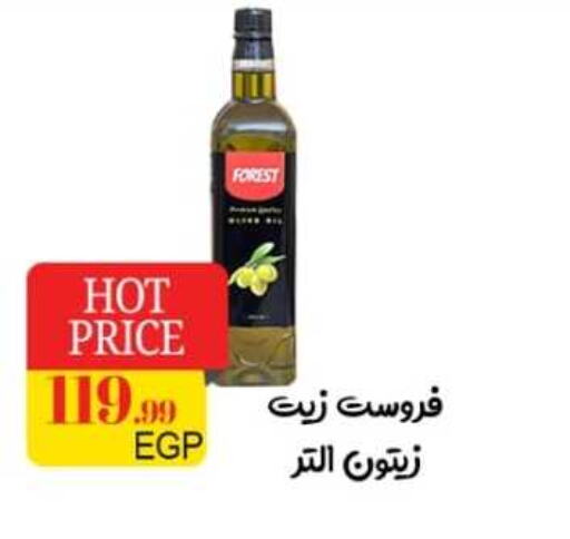  Olive Oil  in أولاد المحاوى in Egypt - القاهرة