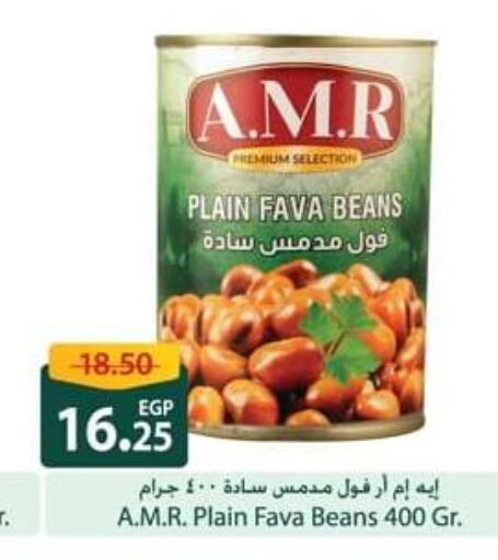  Fava Beans  in سبينس in Egypt - القاهرة