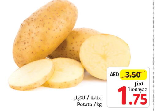  Potato  in تعاونية الاتحاد in الإمارات العربية المتحدة , الامارات - أبو ظبي