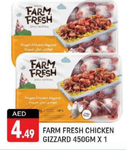 FARM FRESH Chicken Gizzard  in Shaklan  in UAE - Dubai