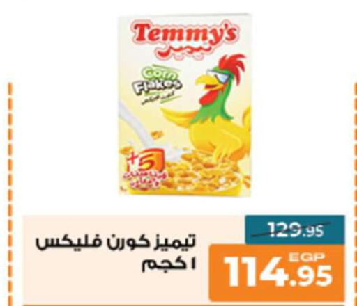 TEMMYS Cereals  in Mekkawy market  in Egypt - القاهرة