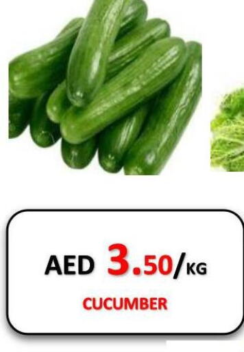  Cucumber  in جفت داي هايبرماركت in الإمارات العربية المتحدة , الامارات - الشارقة / عجمان