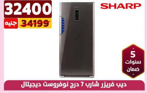 SHARP Freezer  in Shaheen Center in Egypt - Cairo