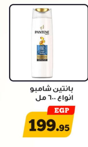 PANTENE Shampoo / Conditioner  in Awlad Ragab in Egypt - Cairo