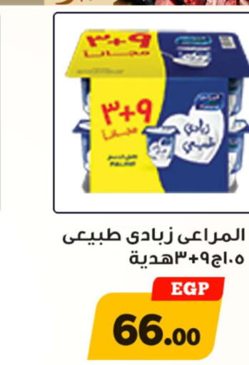 ALMARAI Yoghurt  in أولاد رجب in Egypt - القاهرة