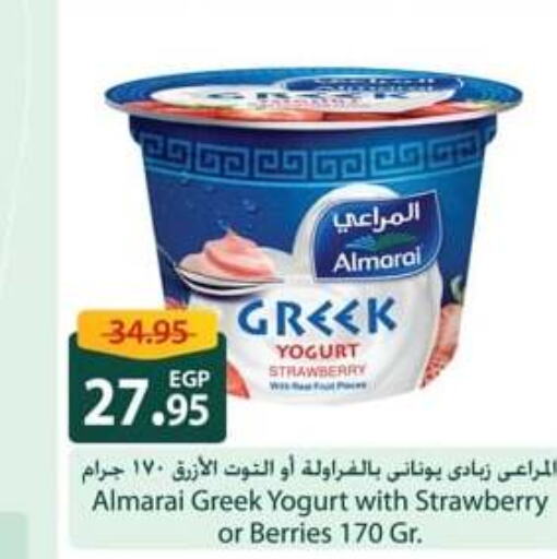 ALMARAI Greek Yoghurt  in Spinneys  in Egypt - Cairo