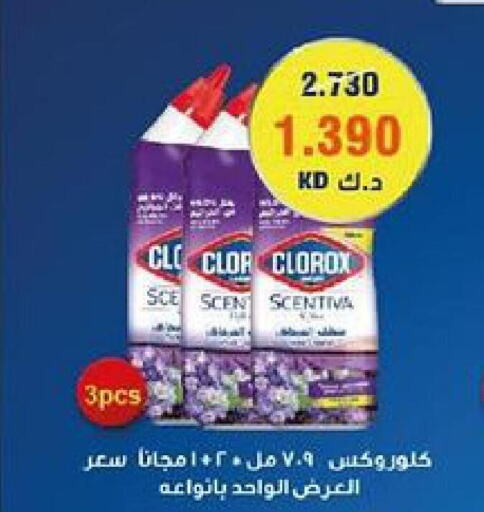 CLOROX Toilet / Drain Cleaner  in  Adailiya Cooperative Society in Kuwait - Ahmadi Governorate