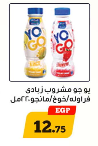  Yoghurt  in أولاد رجب in Egypt - القاهرة
