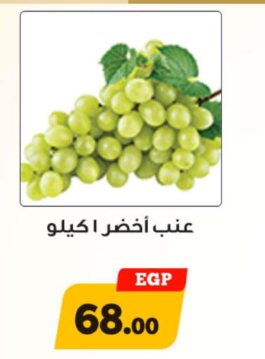  Grapes  in Awlad Ragab in Egypt - Cairo