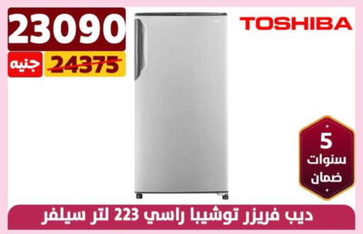 TOSHIBA Freezer  in Shaheen Center in Egypt - Cairo
