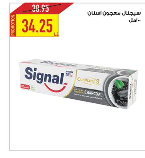 SIGNAL Toothpaste  in  أوسكار جراند ستورز  in Egypt - القاهرة