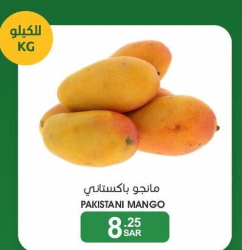  Mangoes  in Mazaya in KSA, Saudi Arabia, Saudi - Qatif
