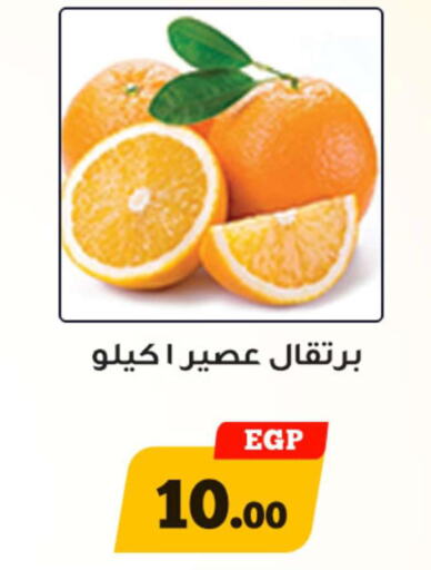  Orange  in Awlad Ragab in Egypt - Cairo