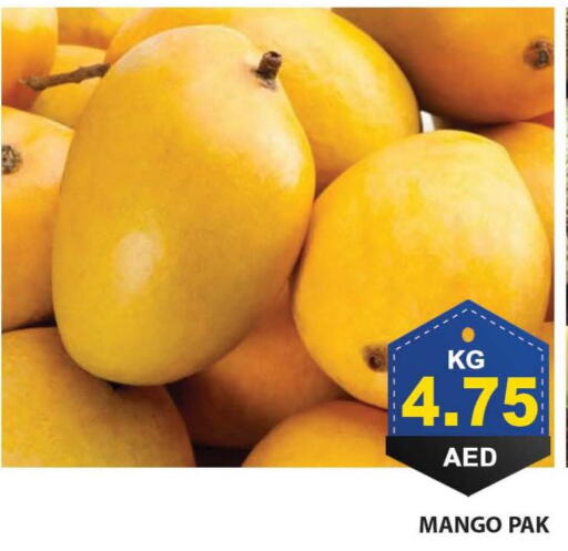 Mango Mango  in بسمي بالجملة in الإمارات العربية المتحدة , الامارات - دبي