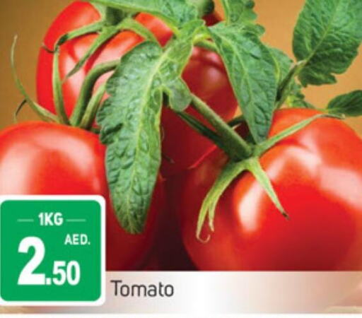  Tomato  in TALAL MARKET in UAE - Sharjah / Ajman