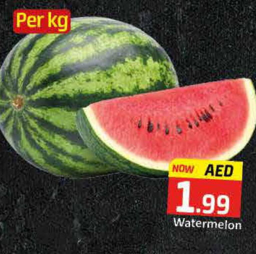  Watermelon  in مانجو هايبرماركت in الإمارات العربية المتحدة , الامارات - دبي