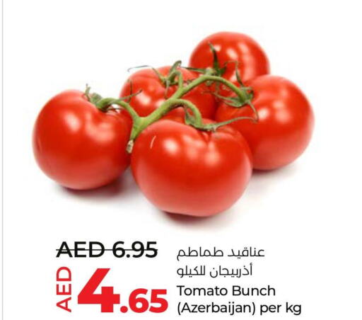  Tomato  in لولو هايبرماركت in الإمارات العربية المتحدة , الامارات - ٱلْعَيْن‎