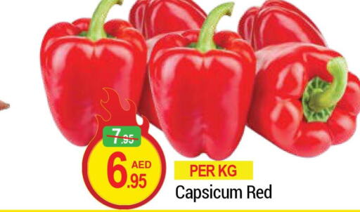  Chilli / Capsicum  in رتش سوبرماركت in الإمارات العربية المتحدة , الامارات - دبي