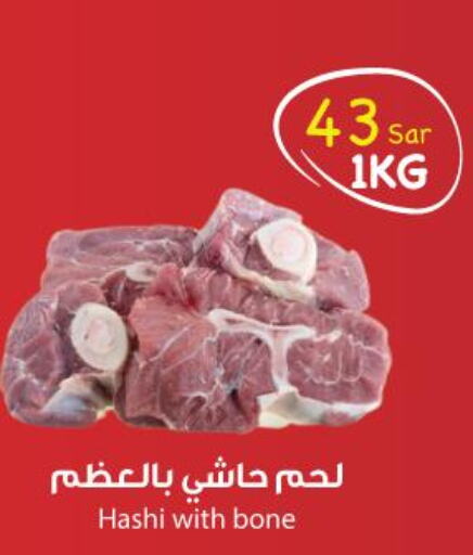  Camel meat  in Consumer Oasis in KSA, Saudi Arabia, Saudi - Dammam