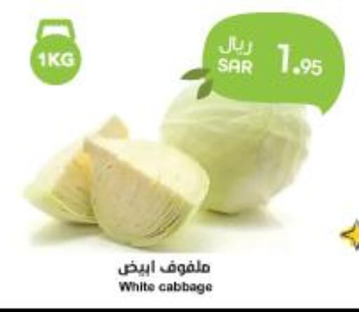  Cabbage  in Consumer Oasis in KSA, Saudi Arabia, Saudi - Riyadh